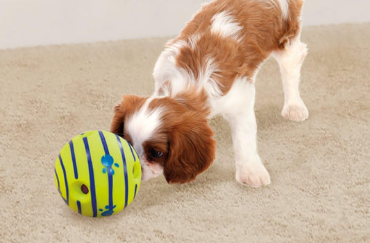 Wobble Wag Giggle Ball, Interactive Dog Toy, Fun Giggle Sounds When Rolled or Shaken, Pets Know Best, As Seen On TV ThEverest